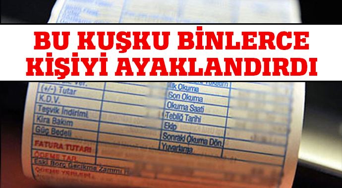 Bu kuşku binlerce kişiyi ayağa kaldırdı! Bu kuşku binlerce kişiyi ayağa kaldırdı!