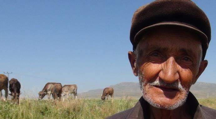 Oy kullanmaya inekleriyle gitti Oy kullanmaya inekleriyle gitti