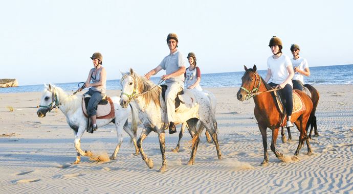 Turizmin yeni gözdesi at safari Turizmin yeni gözdesi at safari