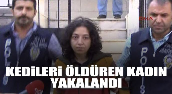 Kedileri öldüren o kadın yakalandı!