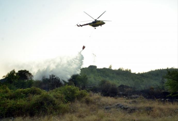 Muğla&#039;da orman yangını