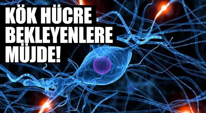 Kök hücre bekleyenlere müjde!