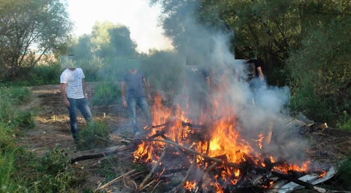 Diyarbakır'da Dicle Nehri kenarında Hint keneviri ele geçirildi Diyarbakır'da Dicle Nehri kenarında Hint keneviri ele geçirildi
