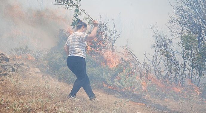 Muğla'da orman yangını Muğla'da orman yangını
