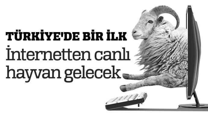 Türkiye'de bir ilk! İnternetten canlı hayvan gelecek Türkiye'de bir ilk! İnternetten canlı hayvan gelecek