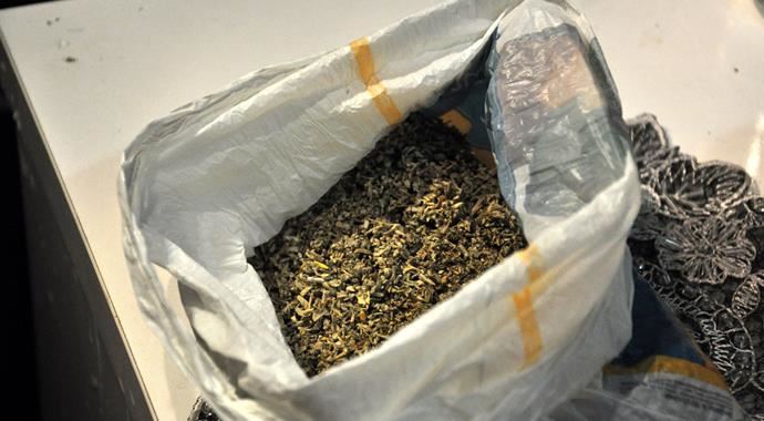 Sakarya&#039;da 50 kilo bonzai ele geçirildi
