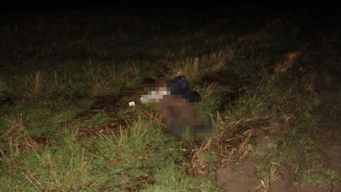 Tekirdağ&#039;da yaşlı adama hayvan otlatırken feci şekilde öldü