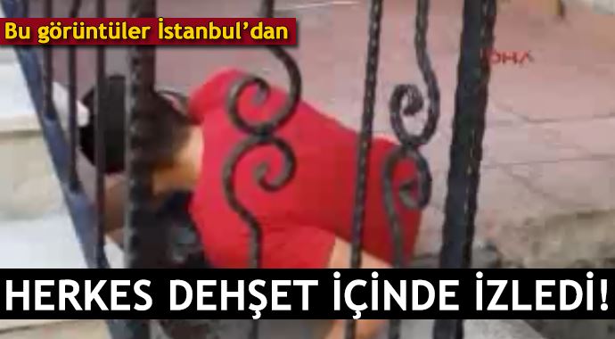 İstanbul&#039;un göbeğinde bonzai dehşeti