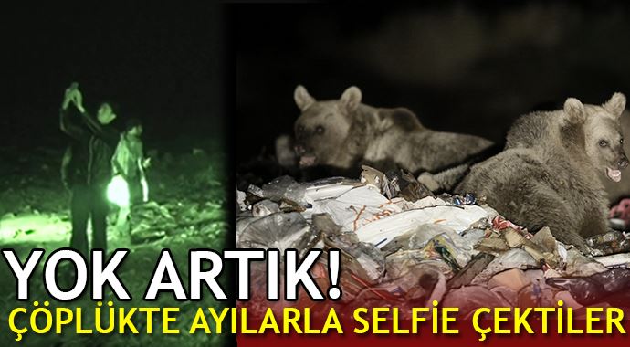 Yok artık! Çöplükte ayılarla selfie çektiler