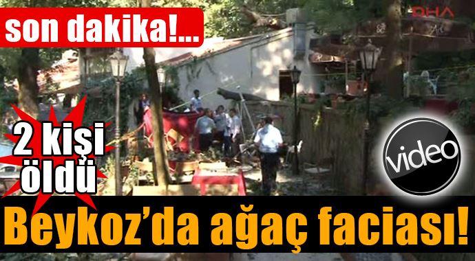 Beykoz&#039;da ağaç devrildi! 2 kişi hayatını kaybetti