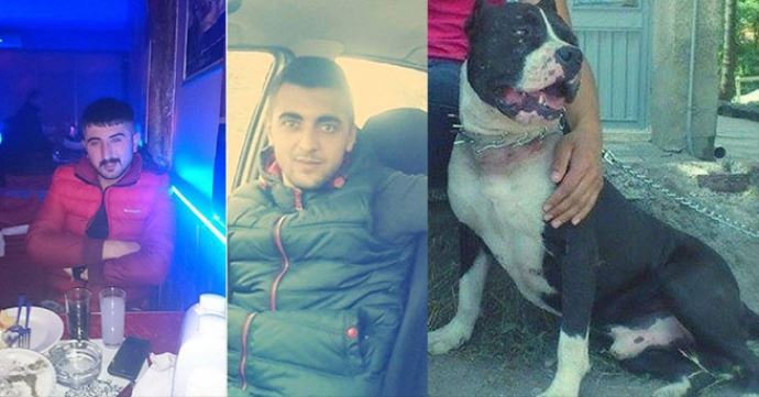 Polis pitbull'u vurarak durdurdu Polis pitbull'u vurarak durdurdu