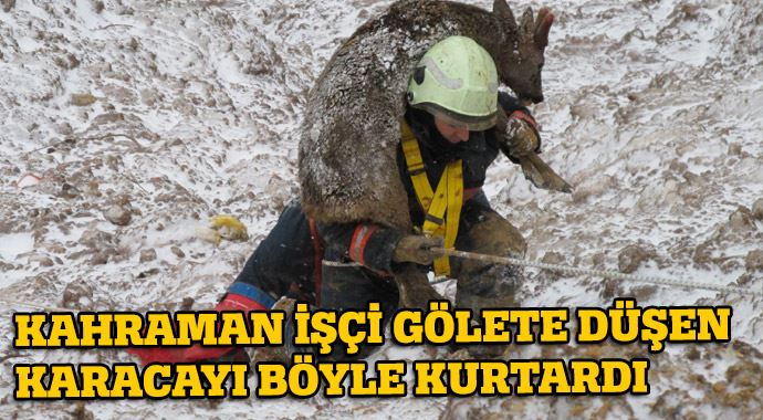 Gölete düşen karacayı böyle kurtardı Gölete düşen karacayı böyle kurtardı