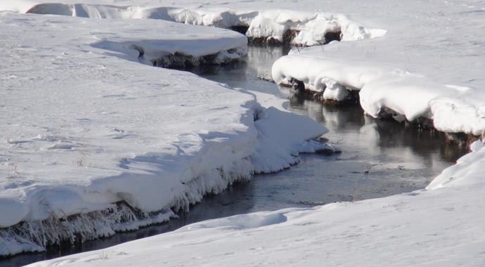 Antarktika değil, Ardahan... Antarktika değil, Ardahan...