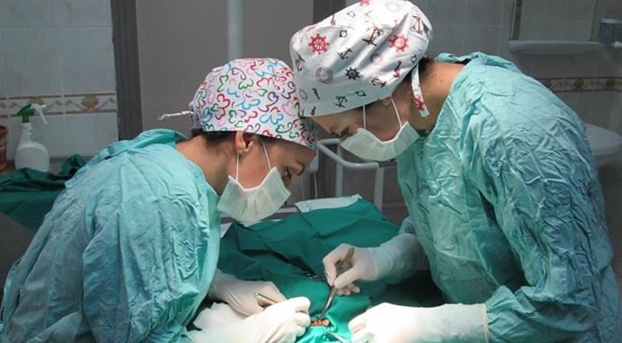 Maganda kurbanı karga ameliyata alındı