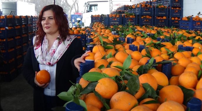 Tek seferde 52 ton portakal aldı! Tek seferde 52 ton portakal aldı!