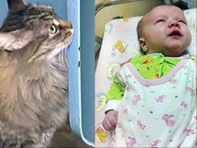 Kahraman Marsha bebeği böyle kurtardı