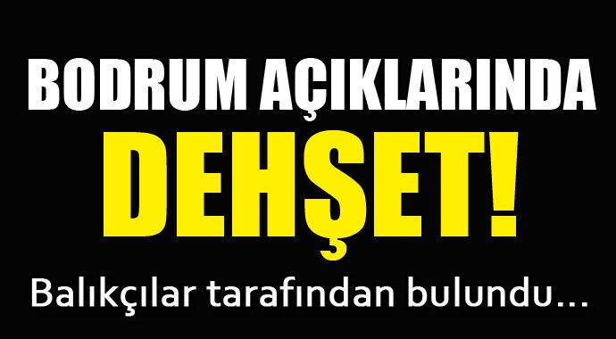 Denizde 2 kesik baş bulundu! Denizde 2 kesik baş bulundu!
