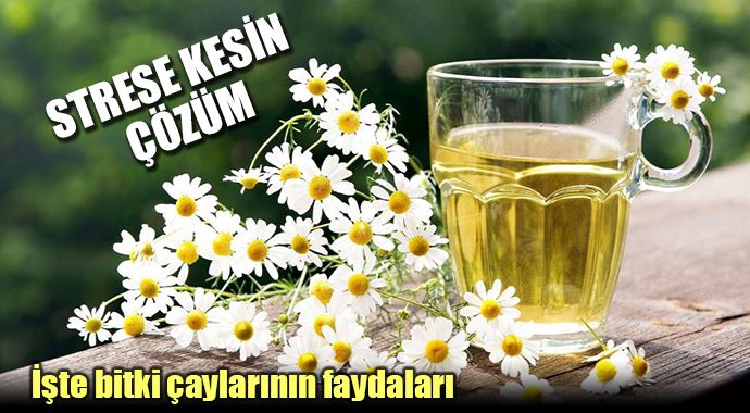 İşte bitki çaylarının faydaları İşte bitki çaylarının faydaları