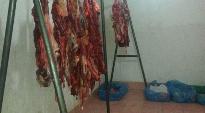 Büyük skandal, 'Atım çalındı' ihbarı ile ortaya çıktı! Büyük skandal, 'Atım çalındı' ihbarı ile ortaya çıktı!