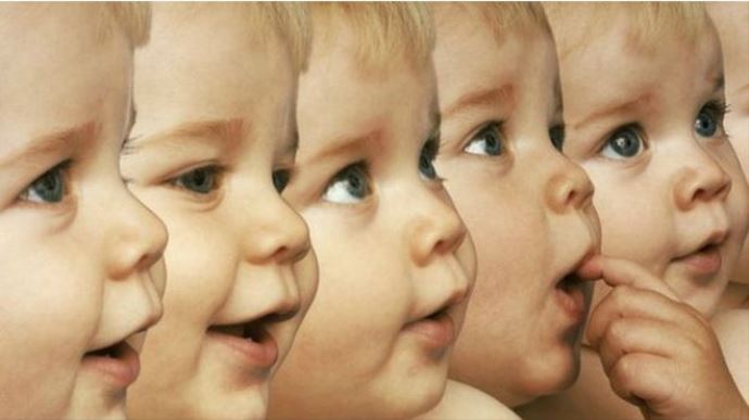 GDO'lu bebekler yolda! GDO'lu bebekler yolda!