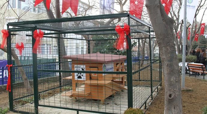 Bakırköy'e kedi parkı Bakırköy'e kedi parkı