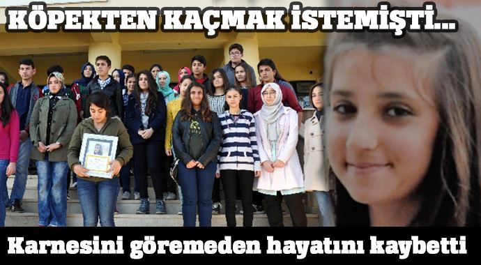 Köpekten kaçmak isterken hayatını kaybetti Köpekten kaçmak isterken hayatını kaybetti