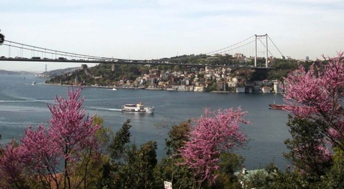 İstanbul&#039;a ağaç dopingi