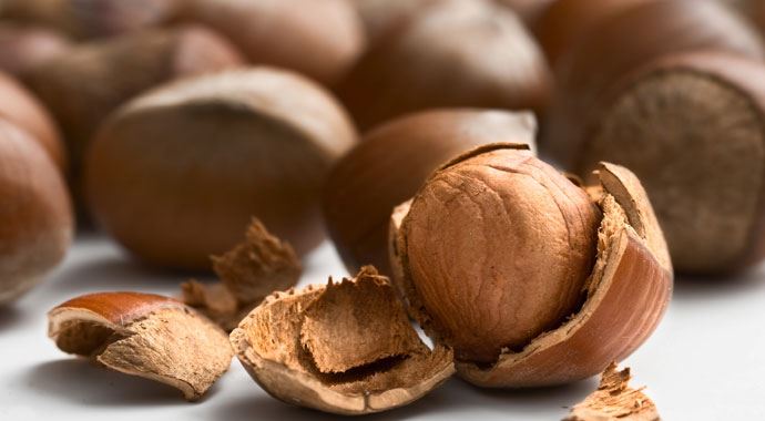 Fındık fiyatları uçtu! Kilogramı 17 lira oldu Fındık fiyatları uçtu! Kilogramı 17 lira oldu