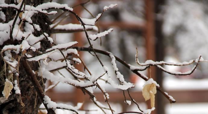 Kars -12 dereceyi gördü Kars -12 dereceyi gördü