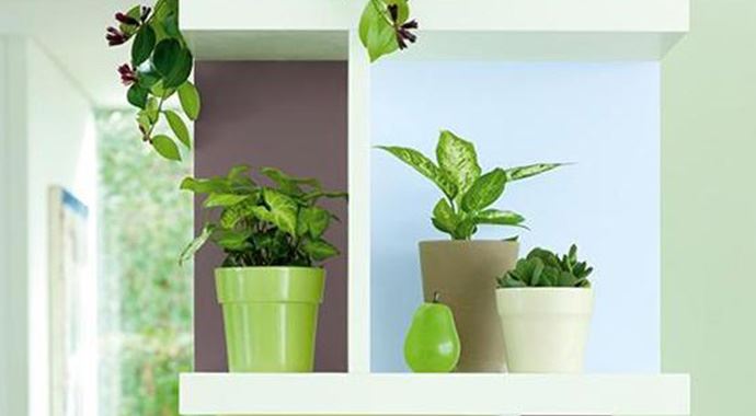 Dikkat! Evde yetiştirilen çiçekler zehir saçıyor Dikkat! Evde yetiştirilen çiçekler zehir saçıyor