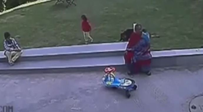 Alman kurdu çocuğa böyle saldırdı Alman kurdu çocuğa böyle saldırdı