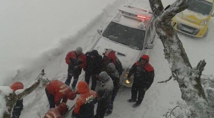 Devrilen ağaç Uludağ yolunu kapattı Devrilen ağaç Uludağ yolunu kapattı