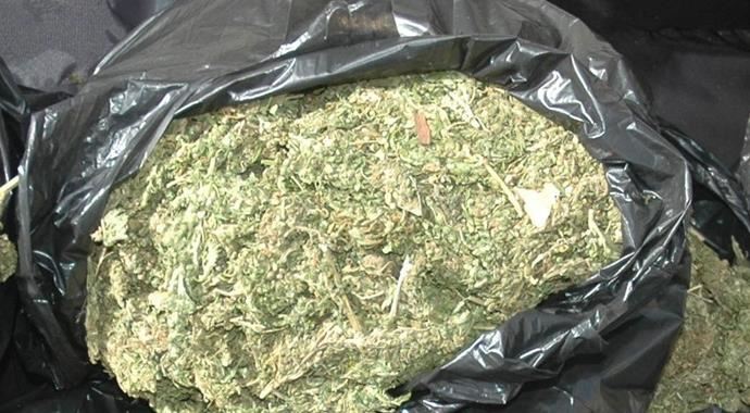 Ergani'de 50 kilo esrar ele geçirildi