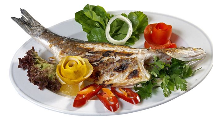 Balık zekayı arttırıyor Balık zekayı arttırıyor