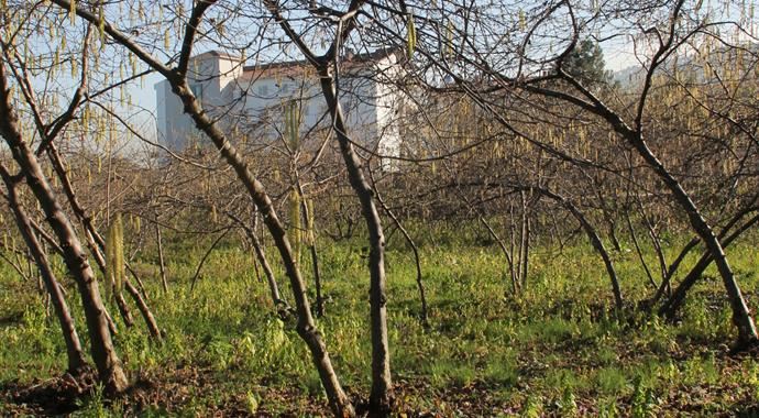 Meteoroloji'den zirai don uyarısı Meteoroloji'den zirai don uyarısı