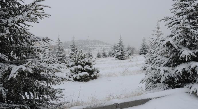 Ankara'da kar alamı!