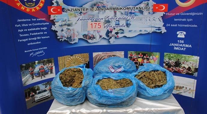 Gaziantep'te 64 kilo zehir yakalandı Gaziantep'te 64 kilo zehir yakalandı