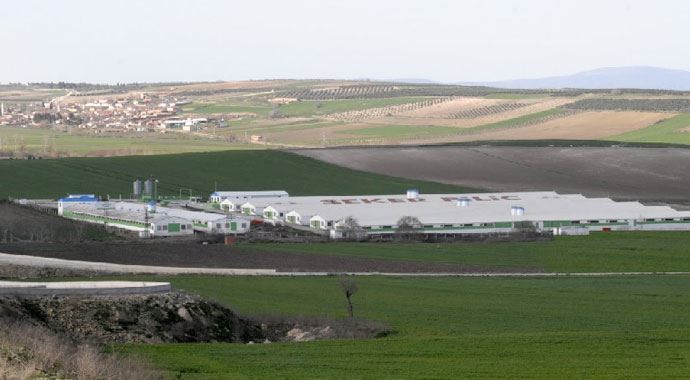 Şeker Piliç borsadan çıkarıldı