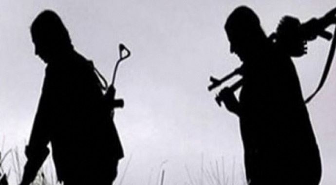 Hakkari'de 2 PKK'lı teslim oldu Hakkari'de 2 PKK'lı teslim oldu