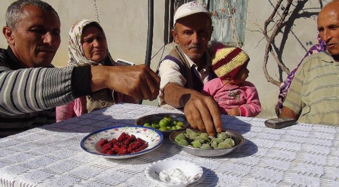 Kış ortasında şaşırttılar! Kış ortasında şaşırttılar!
