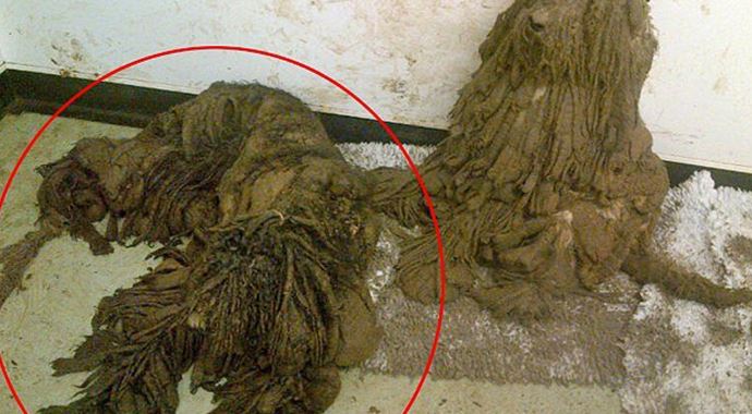 2 haftada büyük bir değişim geçirdi 2 haftada büyük bir değişim geçirdi