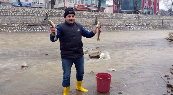 Balık yüzü göremeyen derede balık ölümler hayrete düşürdü Balık yüzü göremeyen derede balık ölümler hayrete düşürdü