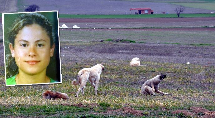 Eskişehir'de köpekler genç kadını parçaladı Eskişehir'de köpekler genç kadını parçaladı