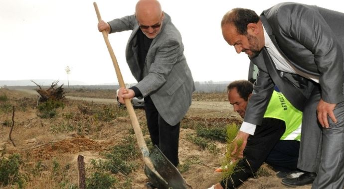 250 bin şehit için 250 bin fidan 250 bin şehit için 250 bin fidan