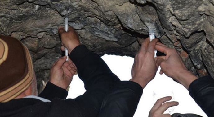 Bir damla süt için sıraya giriyorlar!