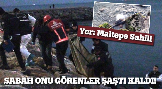 Maltepe sahilinde kadın cesedi 