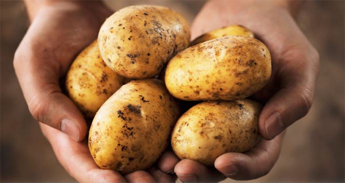 Patates fiyatlarında büyük oyun! Patates fiyatlarında büyük oyun!