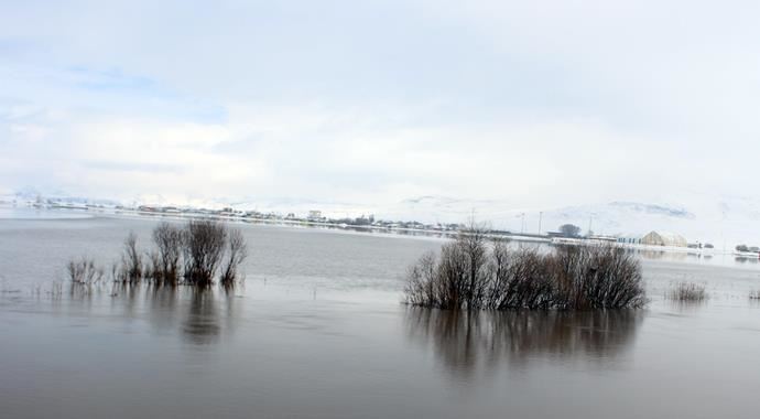 Kar yağışı, Kura Nehri'ni taşırdı Kar yağışı, Kura Nehri'ni taşırdı
