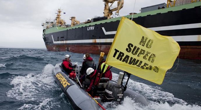 Greenpeace Pasifik Okyanusu&#039;ndaki eylemini sona erdirdi
