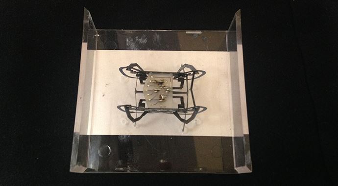 'Hamam böceği' robotlar geliyor 'Hamam böceği' robotlar geliyor
